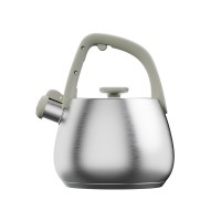 Чайник LEO SAGE, 2 л